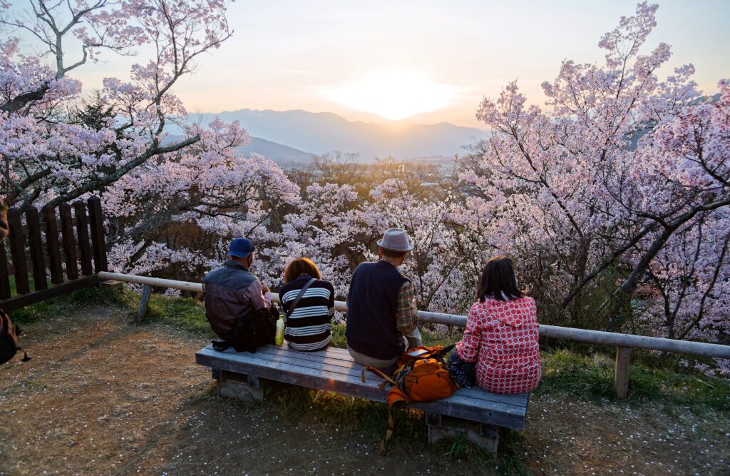 Tourists,On,A,Wood,Bench,Enjoy,Hanami,(the,Activity,Of