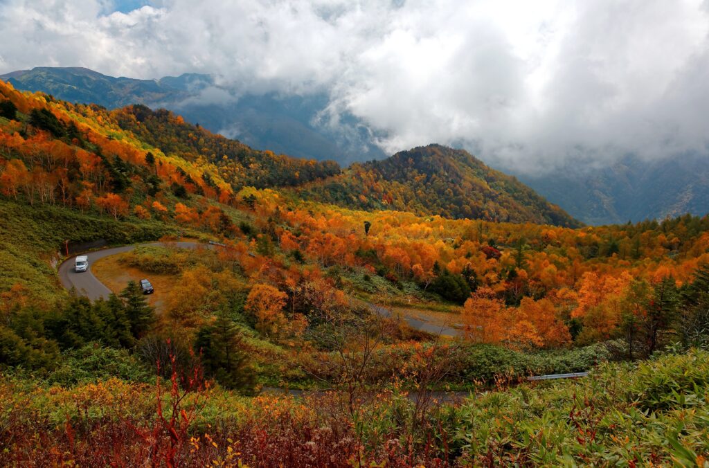 Autumn,Scenery,Of,Cars,Driving,On,A,Sharp,Turn,Of